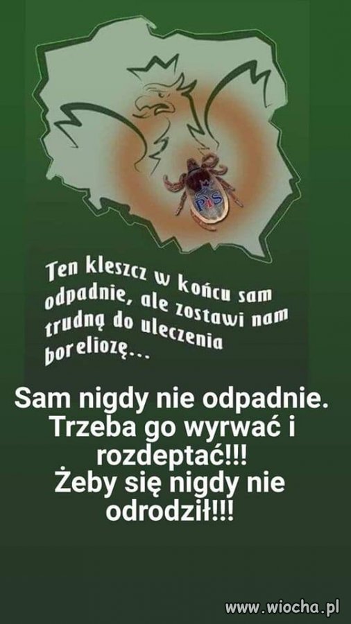 Niestety, pisowski kleszcz sam nie odpadnie