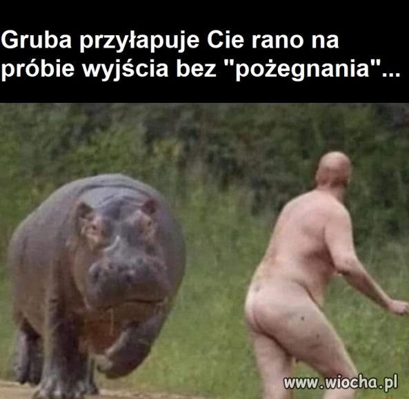 Po grubej imprezie.