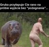 Po grubej imprezie.