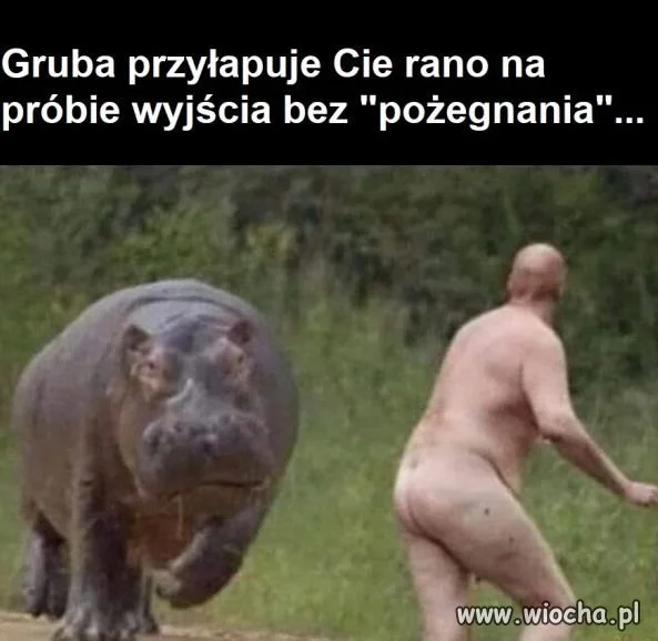 Po grubej imprezie.