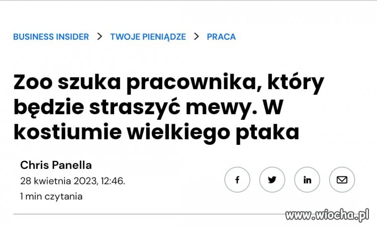  to praca dla ludzi z moim wykształceniem - Ferdek