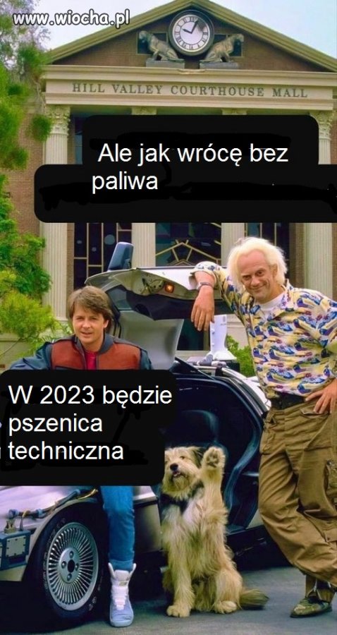 Wrócisz, dasz radę