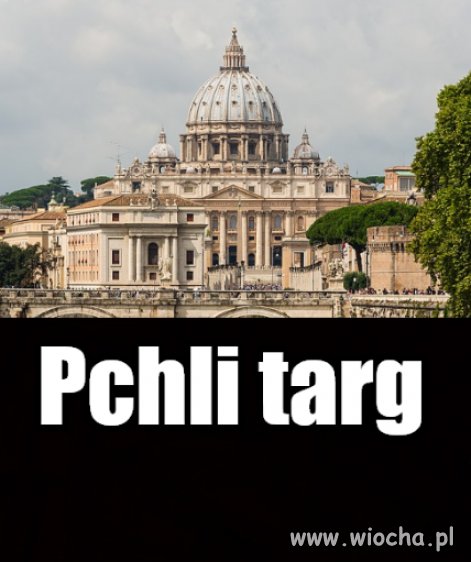 Niby insekty a sssaki