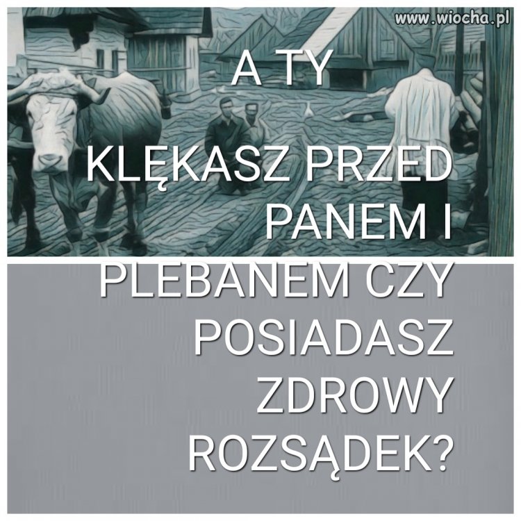 Ja nie klękam