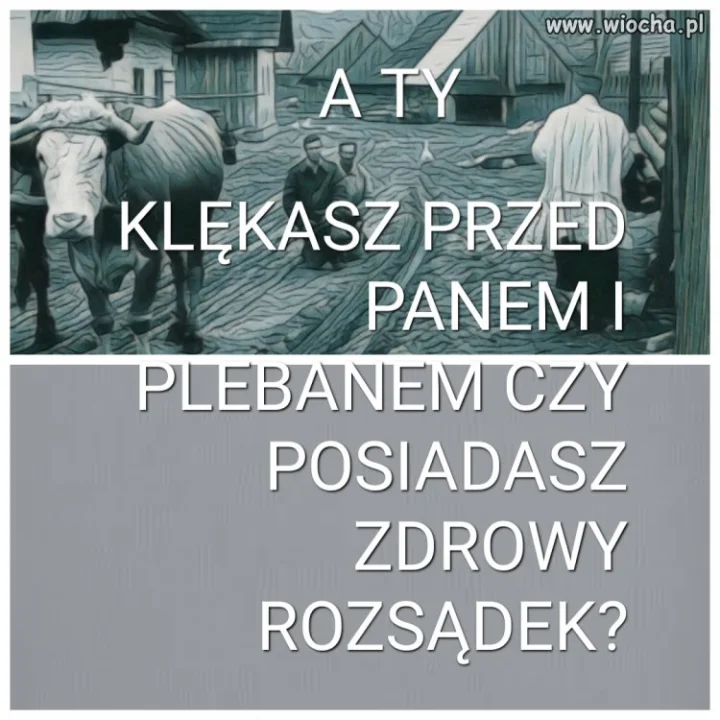 Ja nie klękam