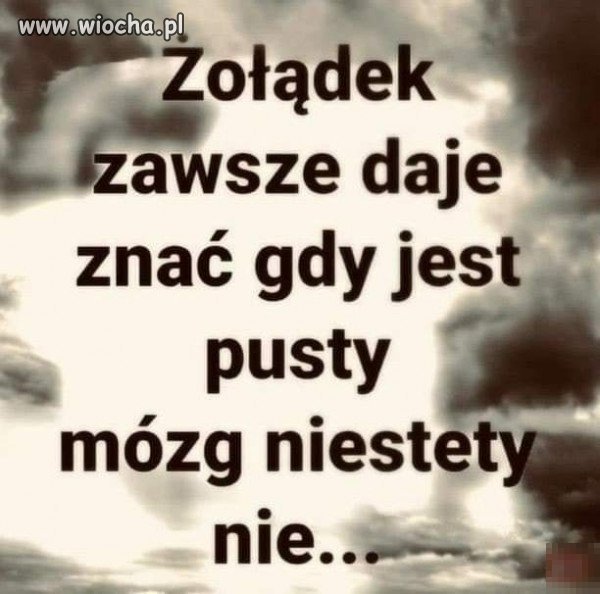 A szkoda 