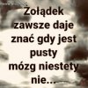 A szkoda 