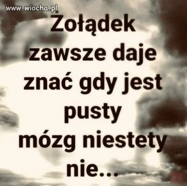 A szkoda 