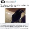 Iluzja.