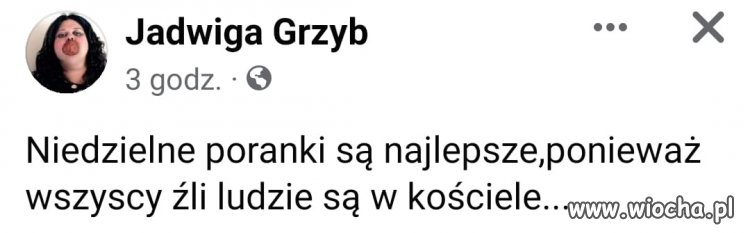 Niedzielne poranki 