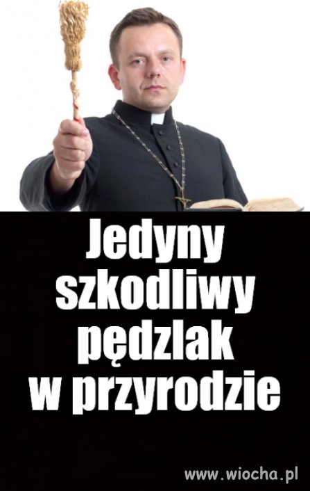 Zraszam i nie przepraszam