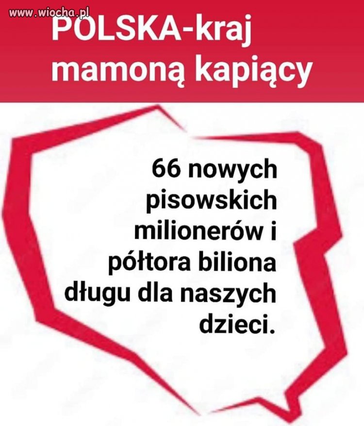 Walczy pis o swoich braci - 