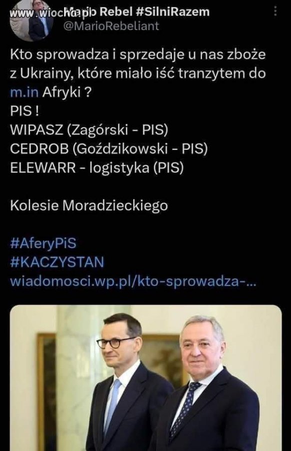 Tłuste pisowskie pocioty już się nachapały 