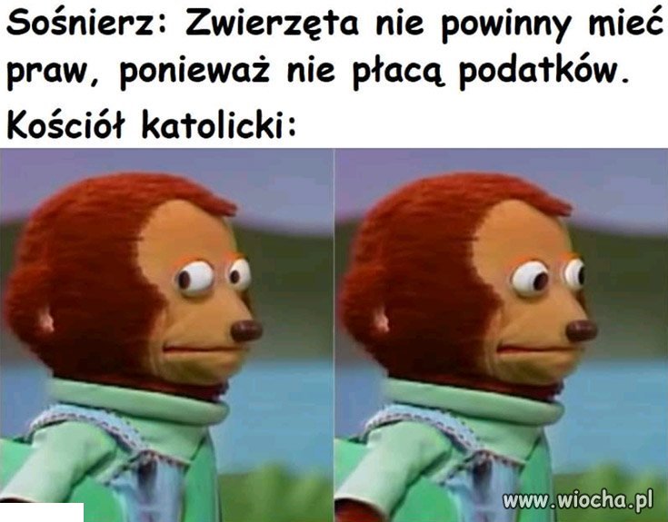 Czasmi jestem pod wrażeniem