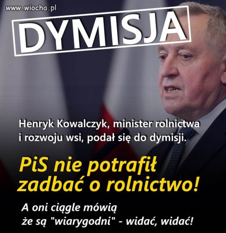 Pisowskie błazny