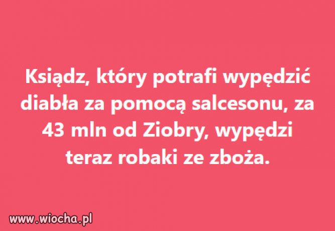 Dzieki PiSowi będziecie jeść robaki narazie w chlebie