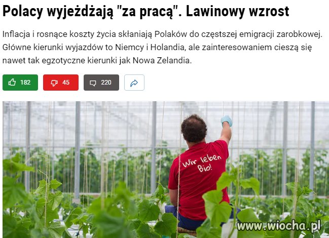 Co to pinokio mówił o wracających Polakach?