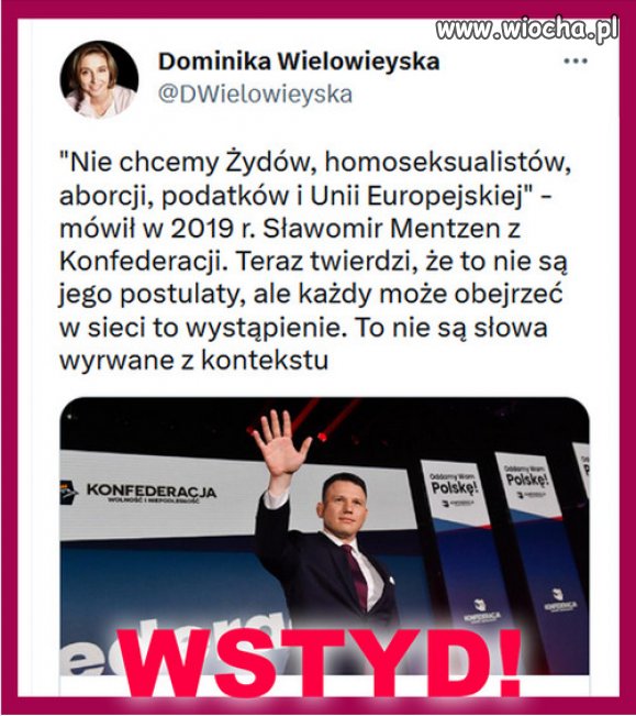 Wielu Polaków nadal pyta, jak w Niemczech powstał faszyzm!
