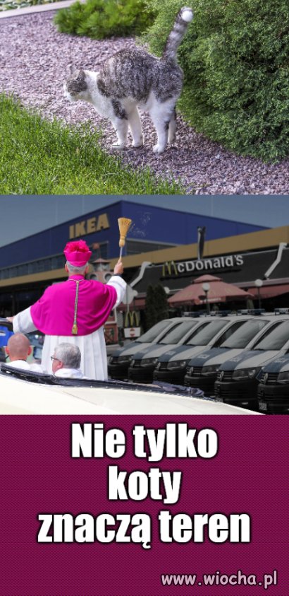 Nałogowi zraszacze