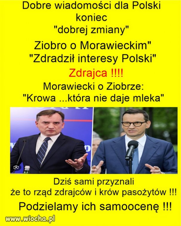 W Zjednoczonej Prawicy trwa wojna na haki...