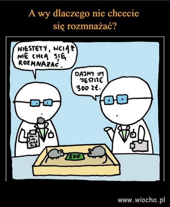 Nowy Program PiSu, 