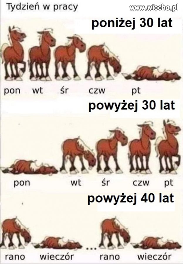 Wiadome o co chodzi