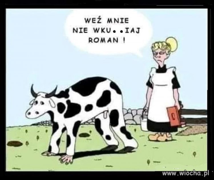 Roman odpłynął