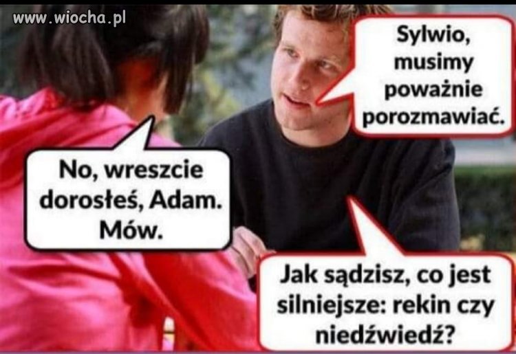 Bo nie wiem co sobie kupić