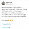 Przypadek? Nie sądzę