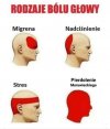 Boli głowa? Teraz wiesz dlaczego: