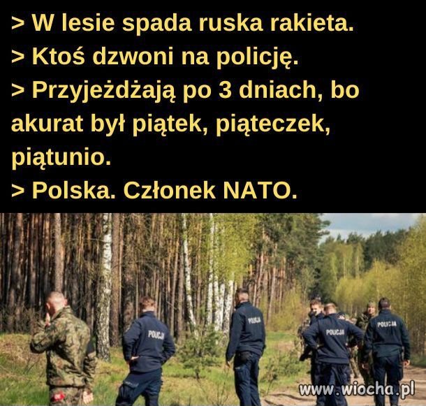 Rzeczywistość pisowska