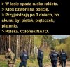 Rzeczywistość pisowska