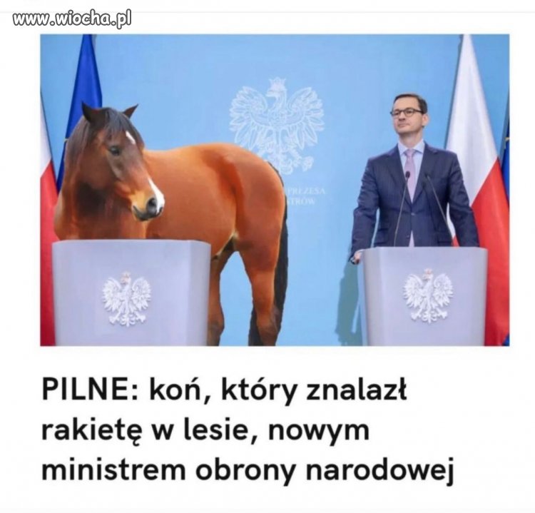 Informacja