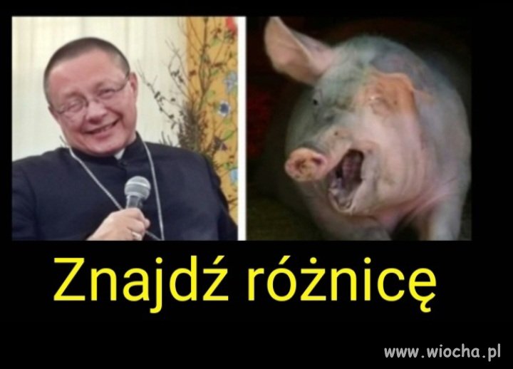 Może...?