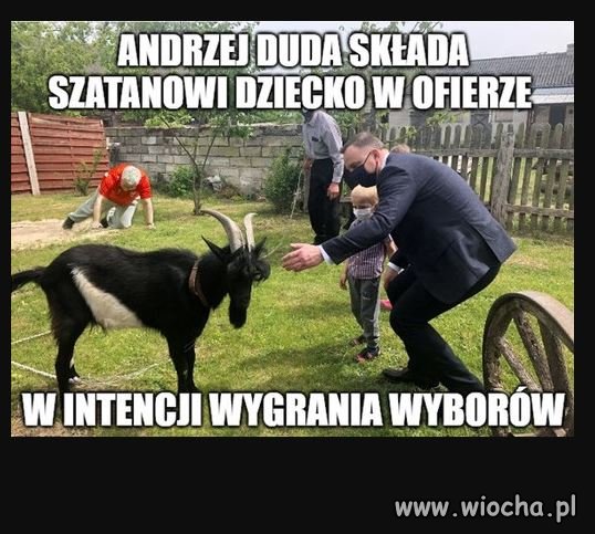 Kiedy sondaże spadają