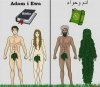 Biblia i koran.