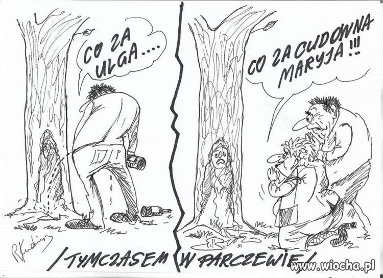 W Parczewie 