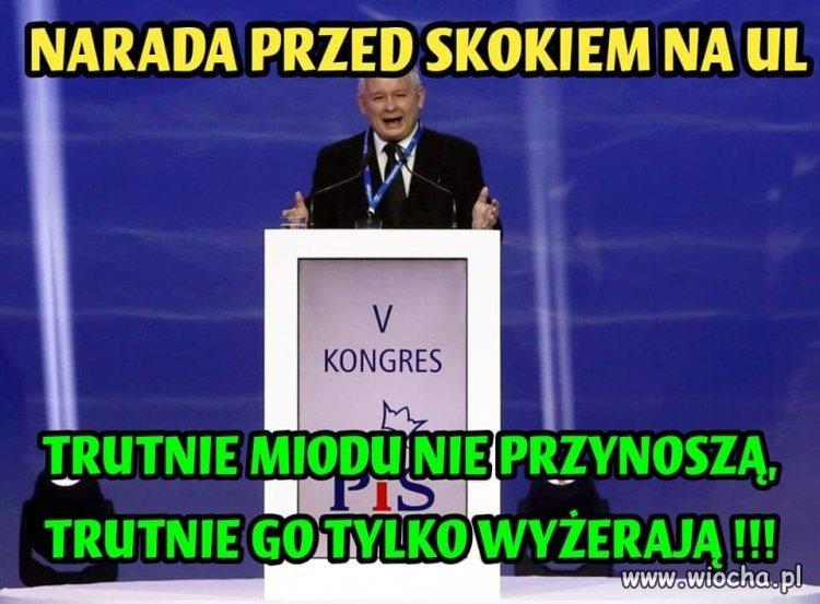 Pisowski skok na ul