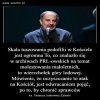 Zaraz pojawią się głosy
