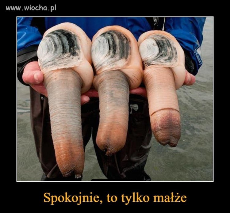 Zanim wytłumaczysz