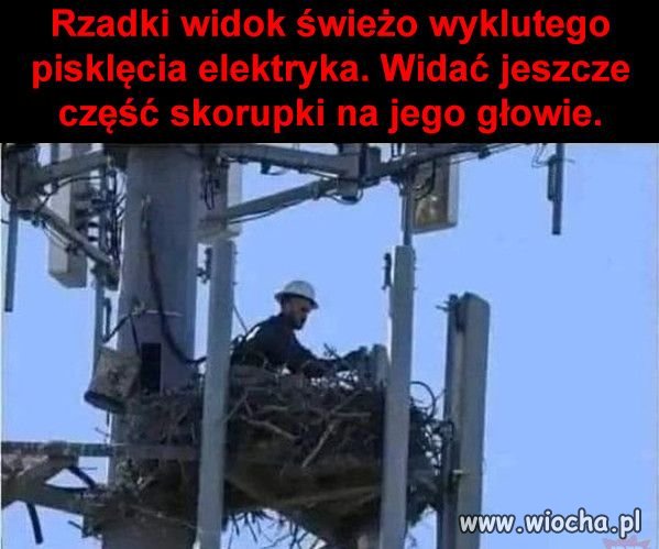 Bardzo rzadkie zdjęcie narodzin elektryka.