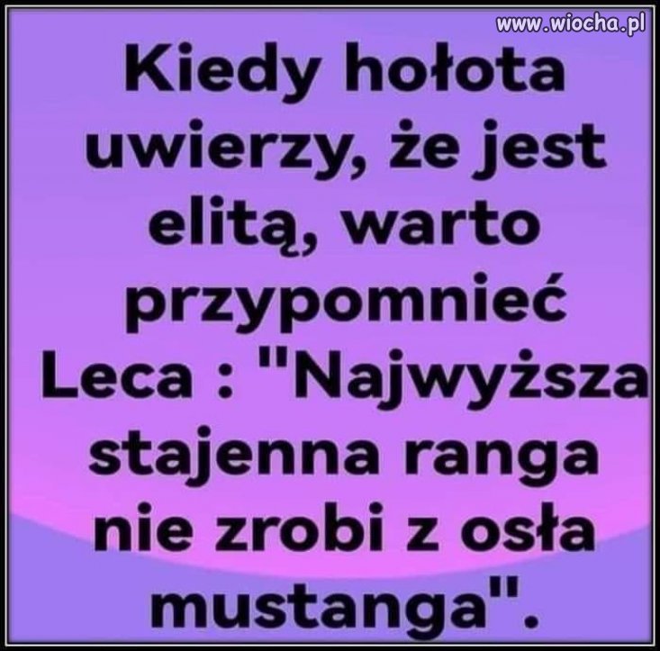 My to wiemy, osły niekoniecznie.
