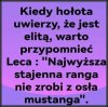 My to wiemy, osły niekoniecznie.