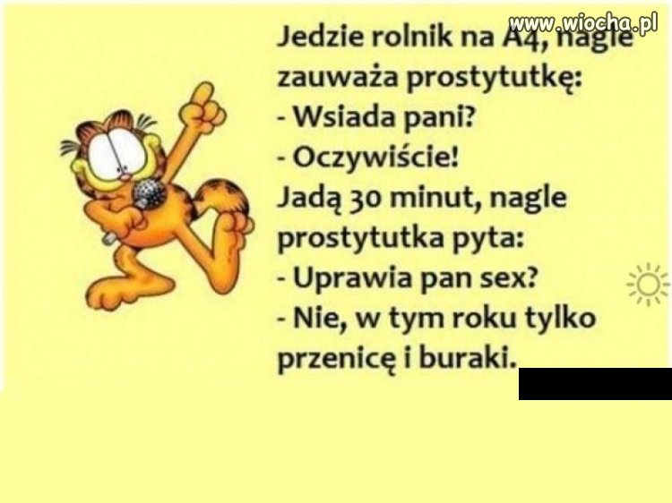 Nie, tylko przenicę i buraki