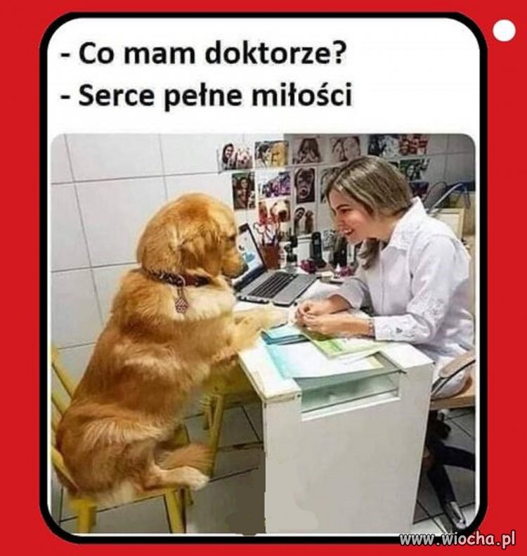 Najmilsze co dzisiaj zobaczysz
