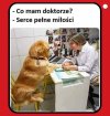 Najmilsze co dzisiaj zobaczysz