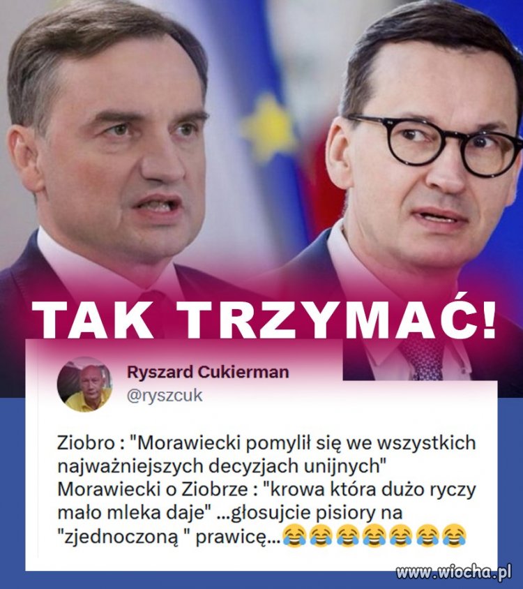 Do jednej celi by ich można