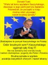 PiS to zbieranina drobnych cwaniaczków i degeneratów!