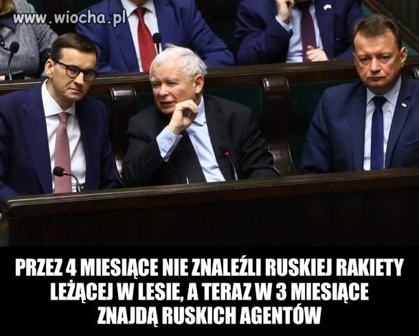 Pisowska rzeczywistość 