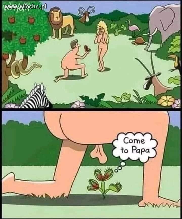 Pewnego razu w raju